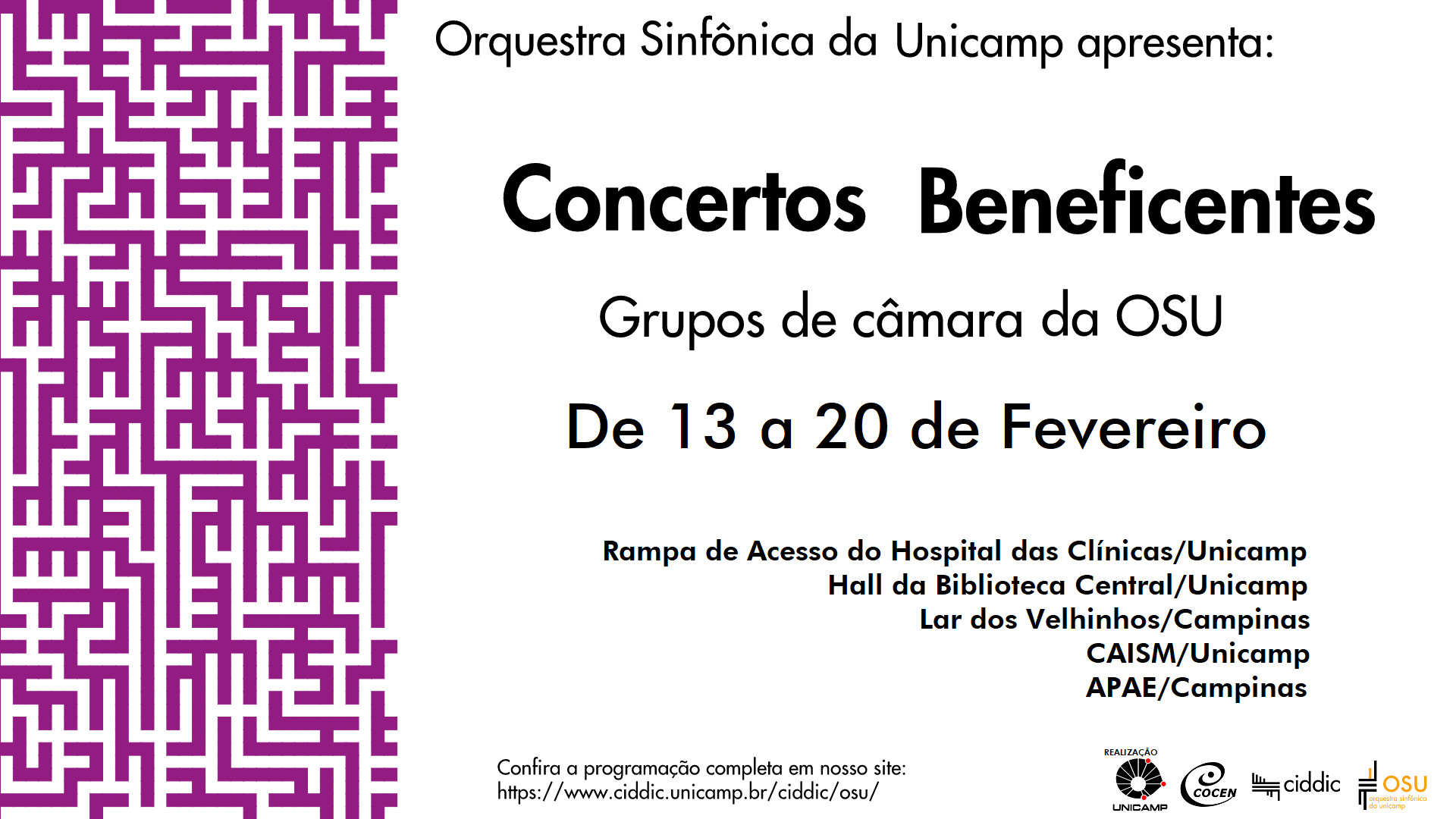 Orquestra Sinfônica da Unicamp apresenta concertos beneficentes